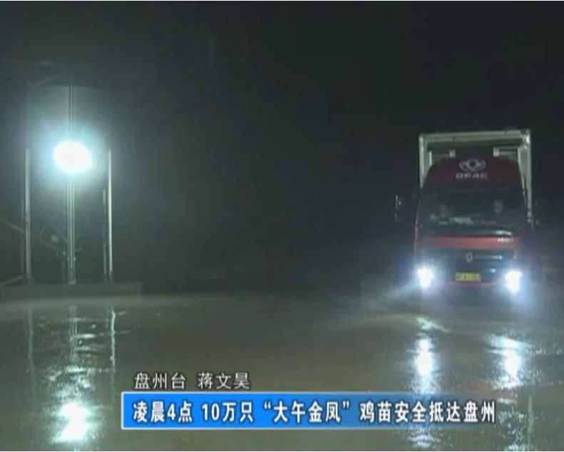 在東西部扶貧協作的大力幫扶下，貴州韓偉集團在盤州市羊場鄉徐家寨村成立了韓偉蛋業有限公司。公司采用自動化、集約化、標準化的生產體系，嚴把產品質量，助力盤州脫貧攻堅。