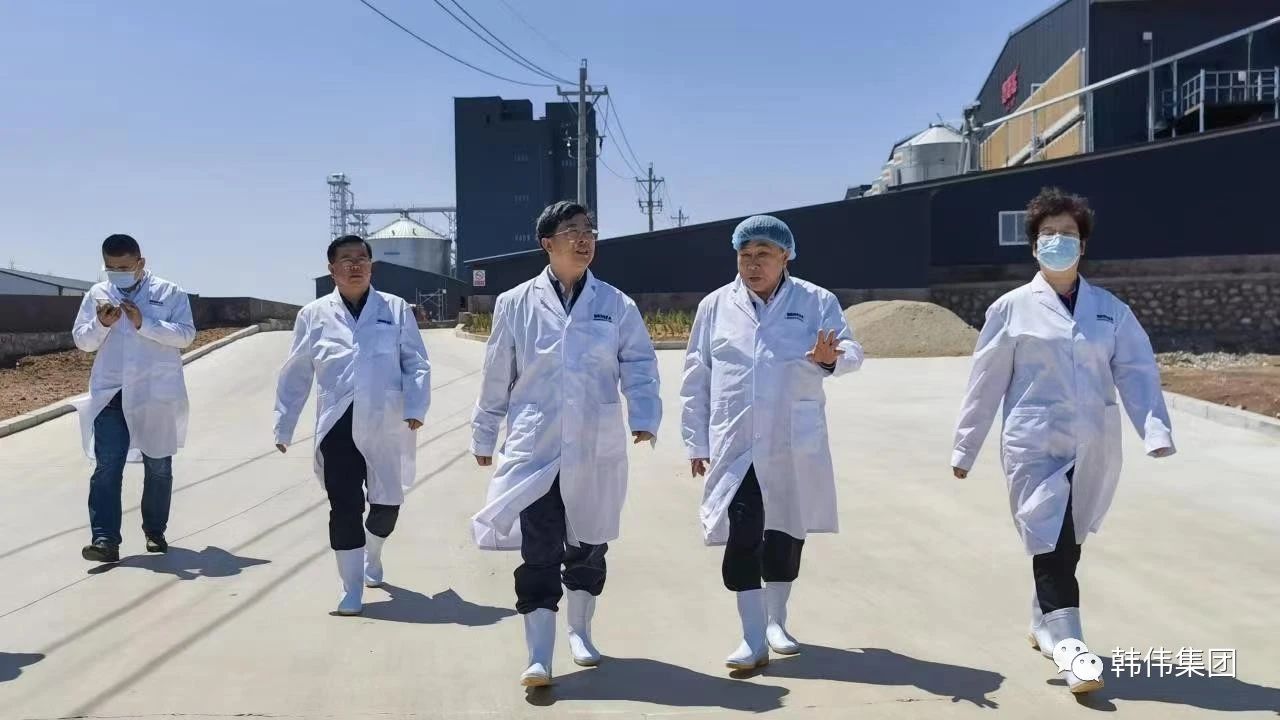 大連市人大常委會副主任盧林來朝陽韓偉蛋業調研